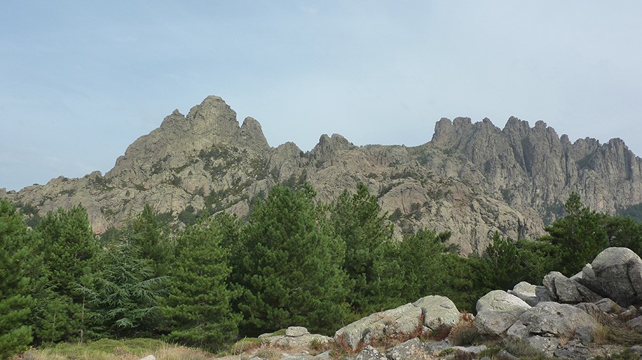P1080257a