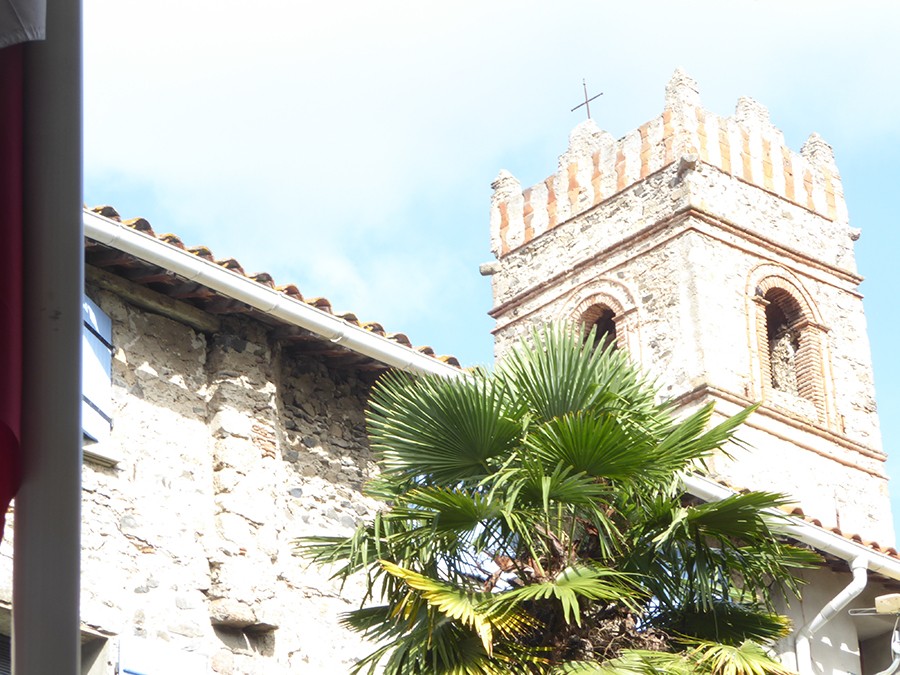 P1160422a