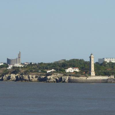 P1170709a