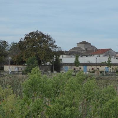 P1170782a