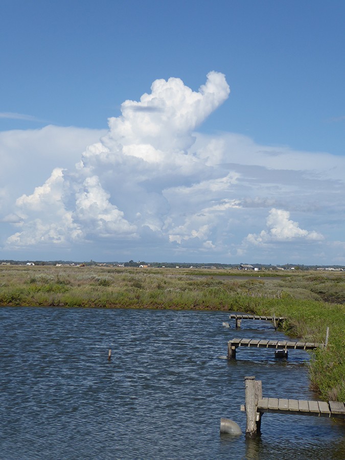P1170946a
