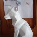 Trophee habay la neuve1